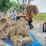 Newly harvested aman paddy yields make Rajshahi farmers happy converted মিডিয়া
