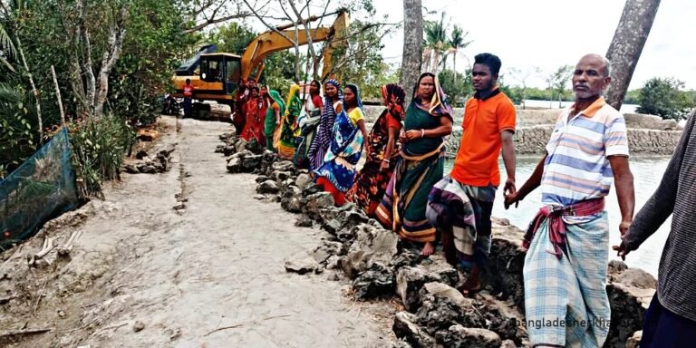 গাছ উপড়ে বাঁধ সংস্কার, বন্ধ কাজ | সারা সপ্তাহের খবর