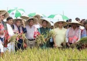 চলতি অর্থবছরে বোরোতে রেকর্ড পরিমাণ উৎপাদন হবে : কৃষিমন্ত্রী